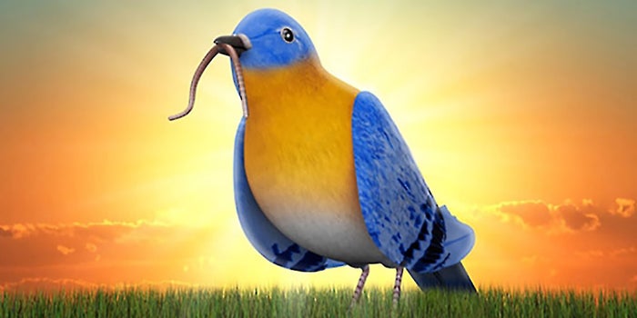 The Power of Mornings: Why Successful Entrepreneurs Get up Early