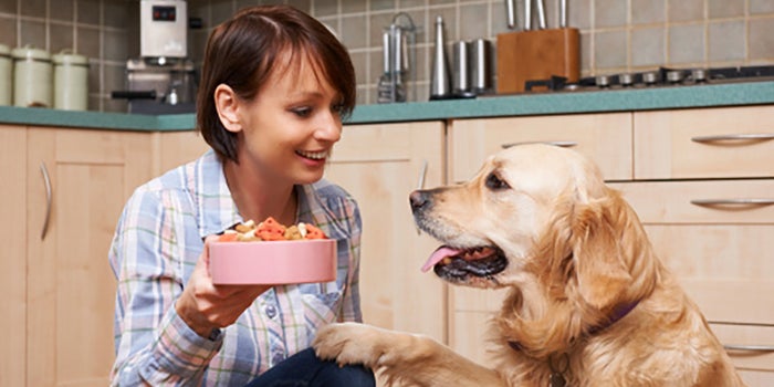 Servicio de nutrición para mascotas