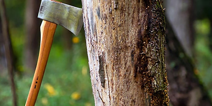 When the Axe Swings, Your Worst Employees Will Outperform