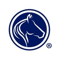 Goddard Systems Inc. Logo