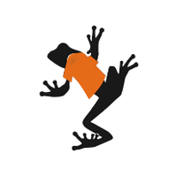 Big Frog Custom T-Shirts Inc. Logo