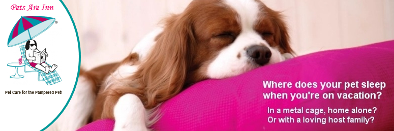 Pets Are Inn