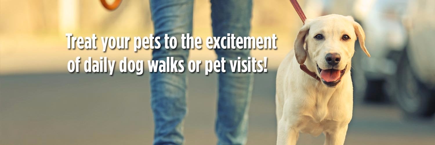 Fetch! Pet Care