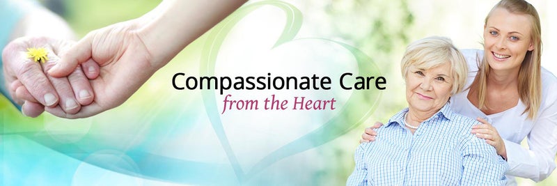 accessible home health care franchises business opportunities