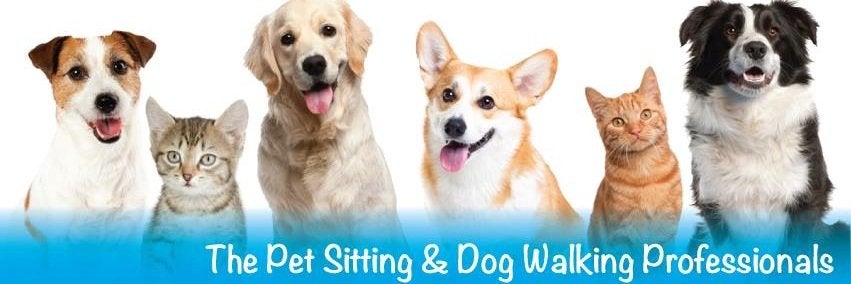 Pet Sit Pros