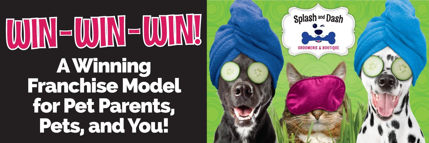 Splash and Dash for Dogs