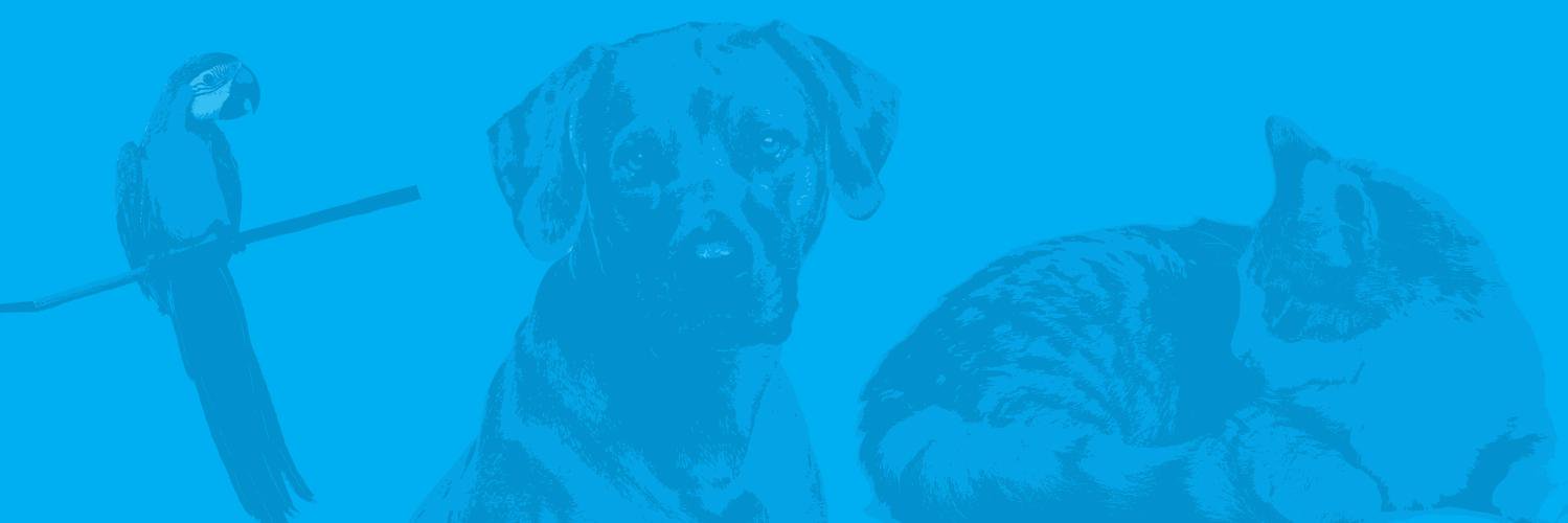 Pet Passages