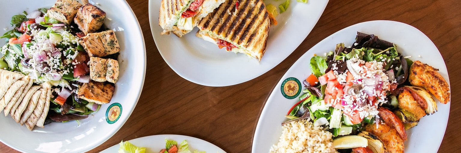 Panini Kabob Grill