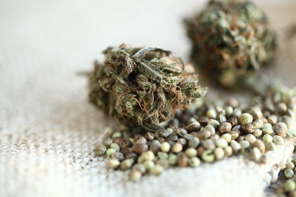 Inversiones en empresas de cannabis: Lo que tienes que saber para este 2021