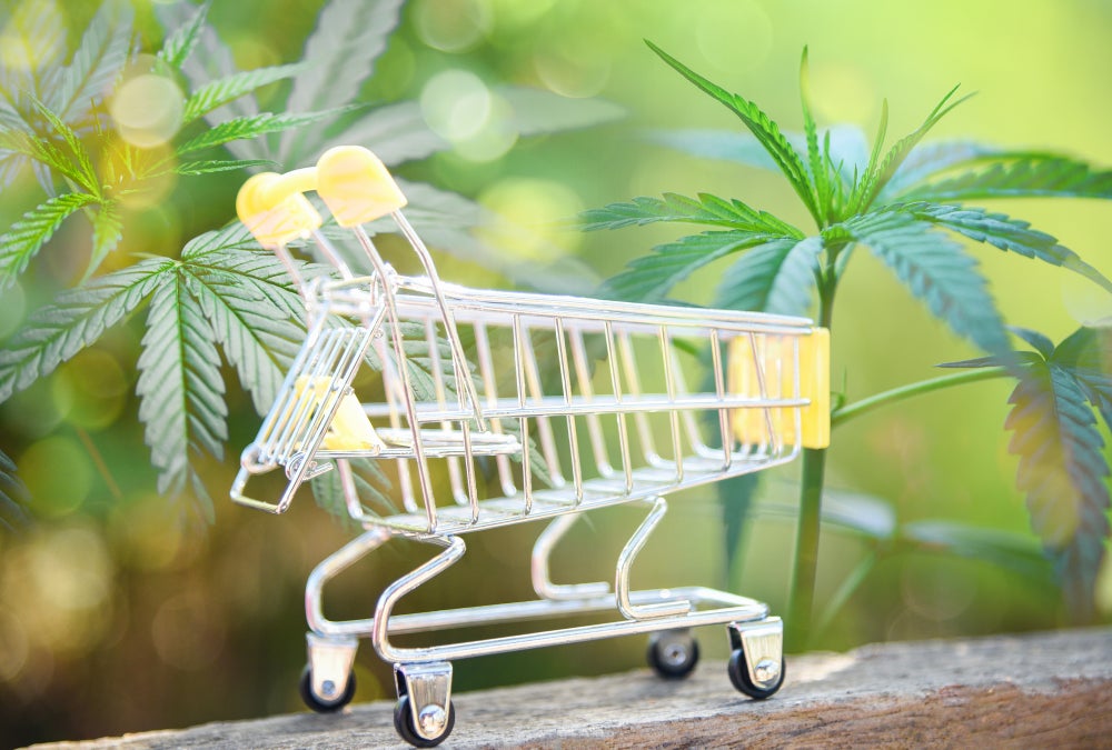 Inversiones en empresas de cannabis: Lo que tienes que saber para este 2021