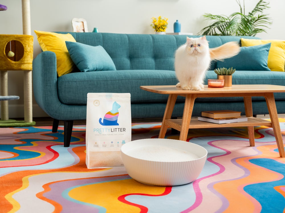 PrettyLitter packaging and product