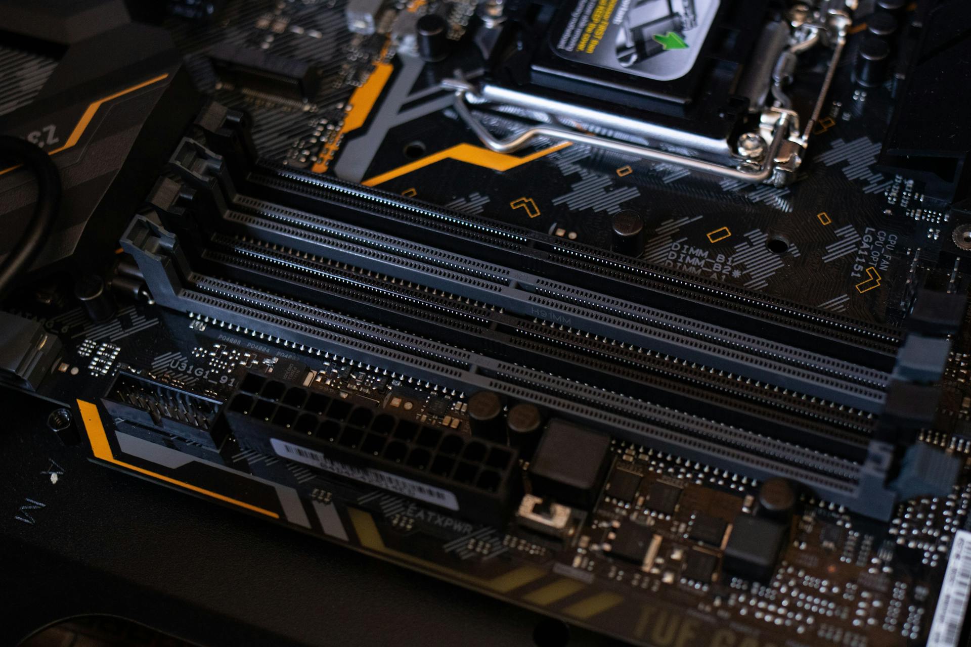 How Living Neural Chips Could Power AI