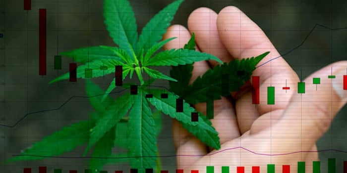 Are These The Best Canadian Marijuana Stocks To Buy Before May? 2 To Watch This Week