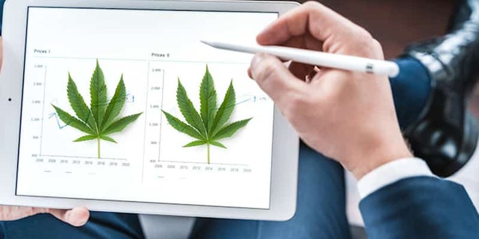 Best Marijuana Penny Stocks For May 2021