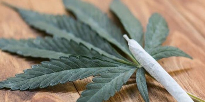 Will This New Plan Help Pass Federal Cannabis Reform In 2021