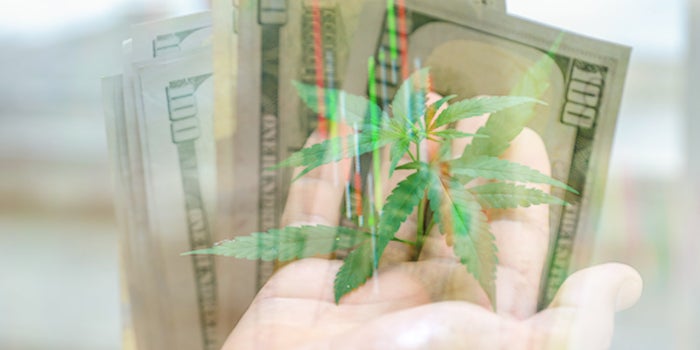 These 2 Marijuana Stocks Are Gaining Momentum: Should You Buy?
