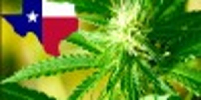 The Texas House of Representatives Has Passed New Cannabis Bill