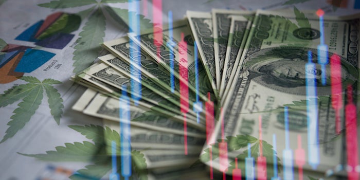 Canadian Marijuana Stocks To Buy Right Now? 2 Traders Are Watching