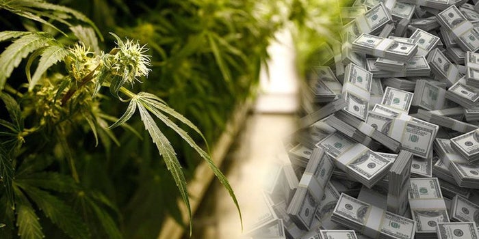Recreational Cannabis Has Produced Close To $8 Billion In Tax Revenue