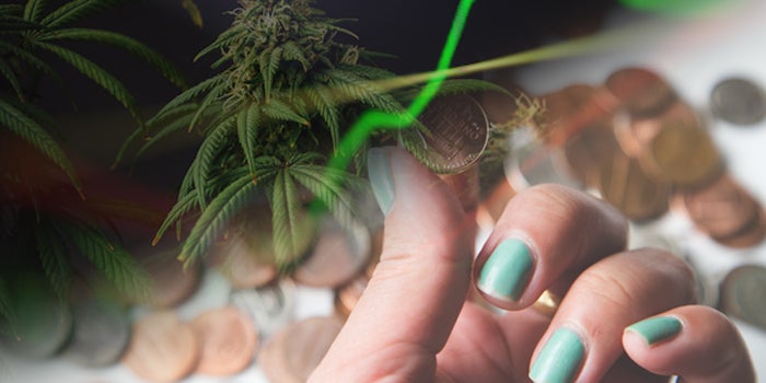 Investing In Marijuana Penny Stocks For June 2021? 2 To Watch Right Now