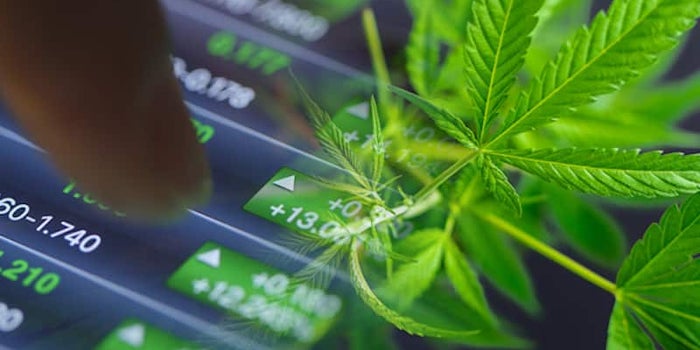 Top Marijuana Penny Stocks To Buy? 2 To Check Out This Week
