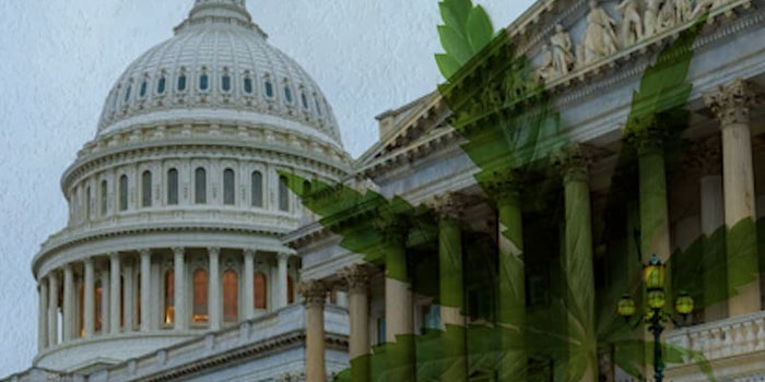 Here’s A Look Into Schumer’s Federal Cannabis Reform Bill