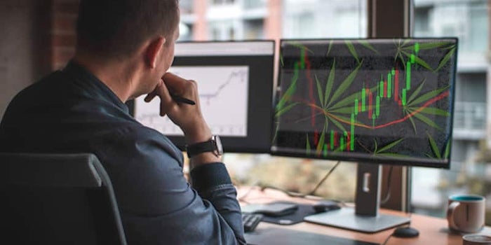Which Is The Best Marijuana Stock To Invest In? A Canadian Pot Stock Or A Marijuana Penny Stock