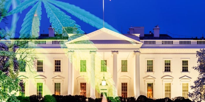 The President Maintains His Stance On Broader Cannabis Reform