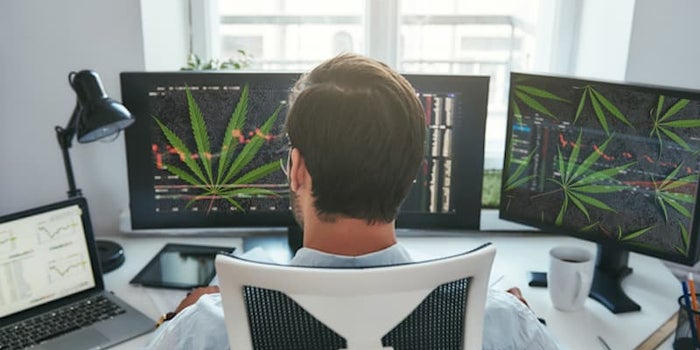 2 Marijuana Stocks For Your Investment Portfolio