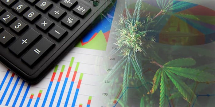 Top 10 Marijuana Stocks To Watch During Earnings Season