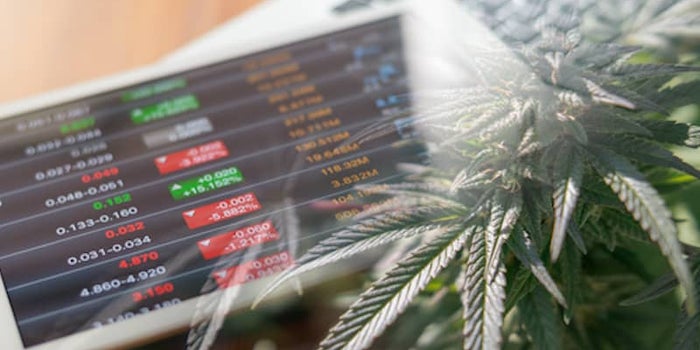 While Top Cannabis Stocks Are Down Are Pot Stocks A Good Investment?