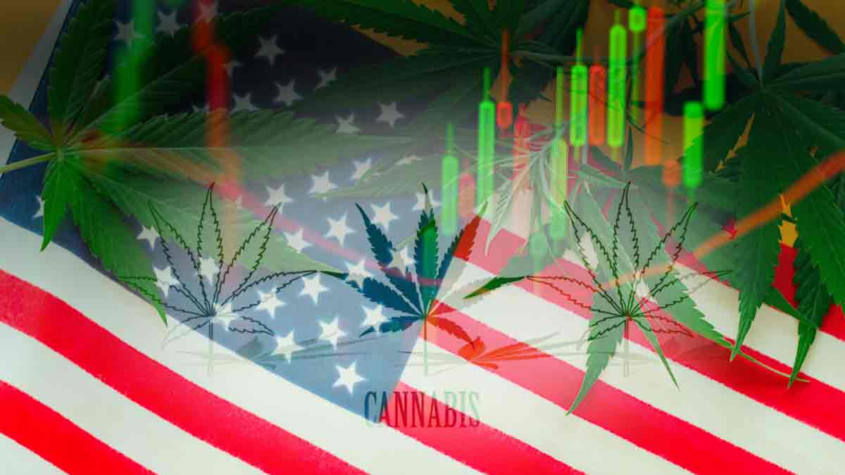 Image of post: Marijuana Penny Stocks For Your List While The Market Is Down In May