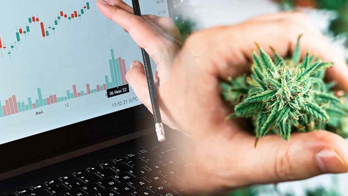 Image of post: Best Canadian Cannabis Stocks For July 2022