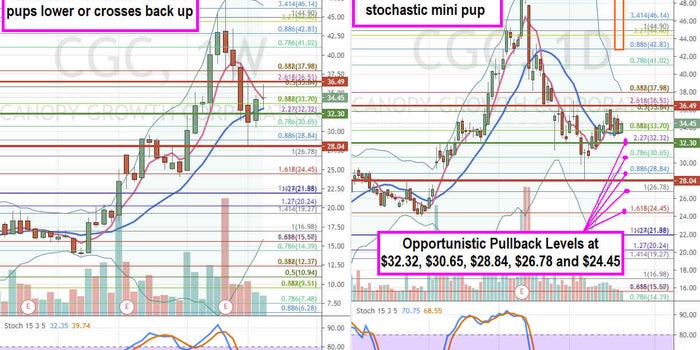 Canopy Growth Stock is a Best of Breed Cannabis Play
