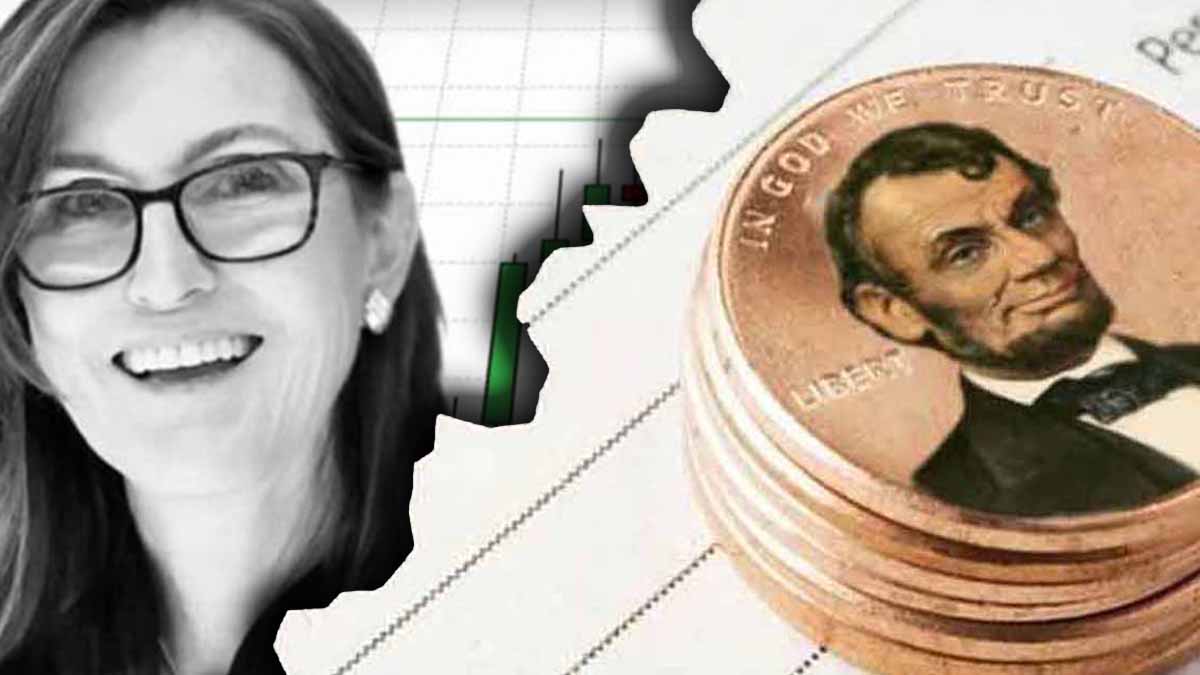 7 Penny Stocks To Buy Based On Cathie Wood's ARK Invest Holdings - Vimarsana News