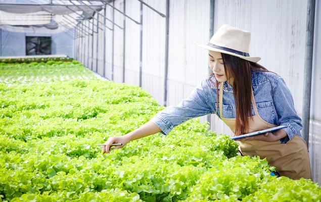 Zacks Industry Outlook Highlights: Archer Daniels Midland Company, Corteva Inc., Adecoagro S.A., Calavo Grower and Alico Inc - Vimarsana News