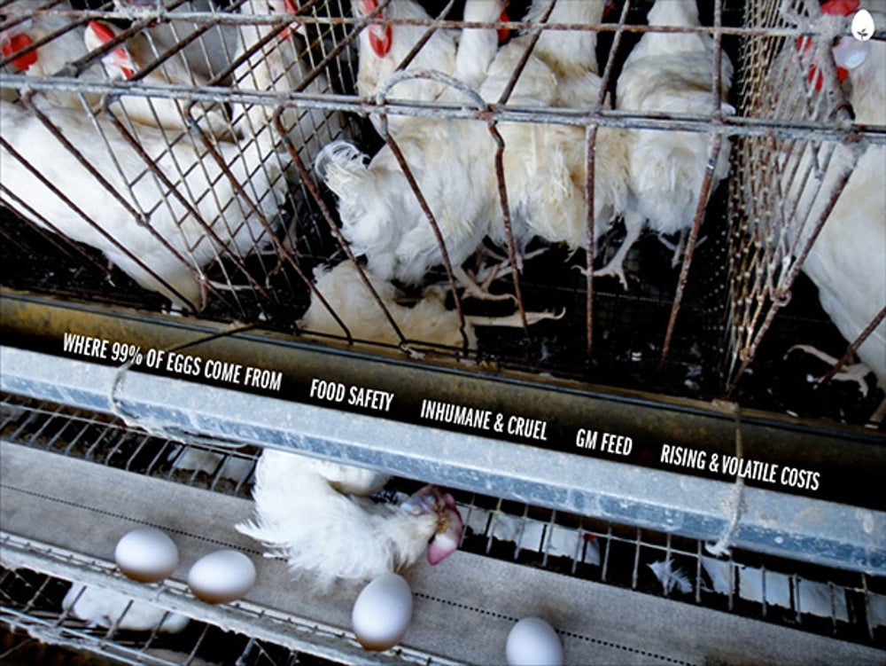 This is a reminder of where we currently get eggs. Tetrick calls it an "antiquated technology." If he's presenting to tech investors, he says this is like a "horse and buggy whip."