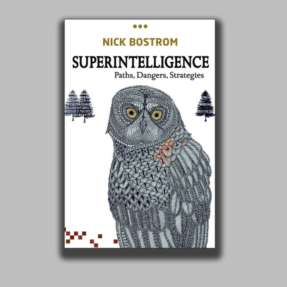 'Superintelligence: Paths, Dangers, Strategies'