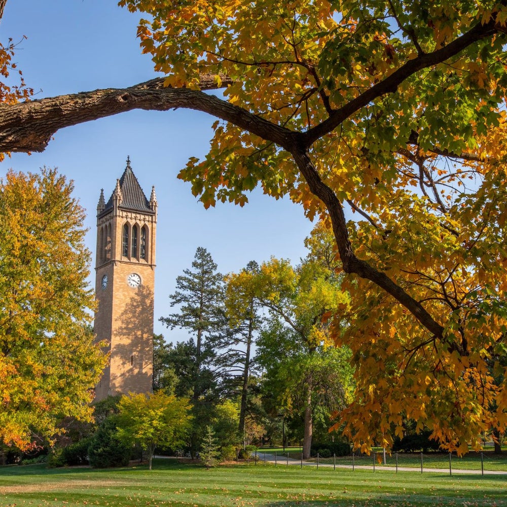 11. Iowa State University