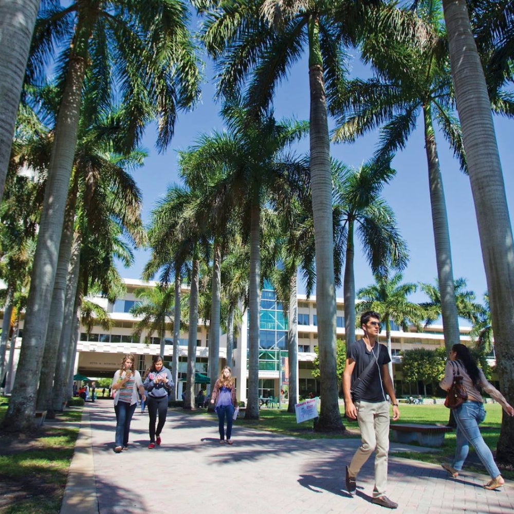 13. The University of Miami