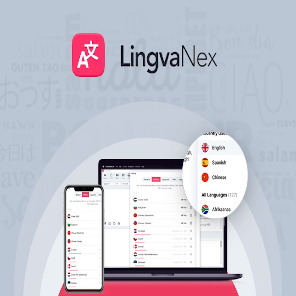 lingvanex api