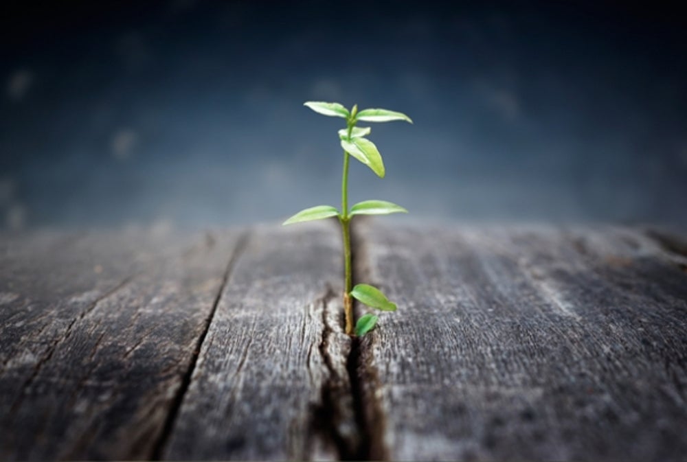 3. Concentrate on growth.