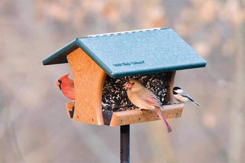 1. Wild Birds Unlimited