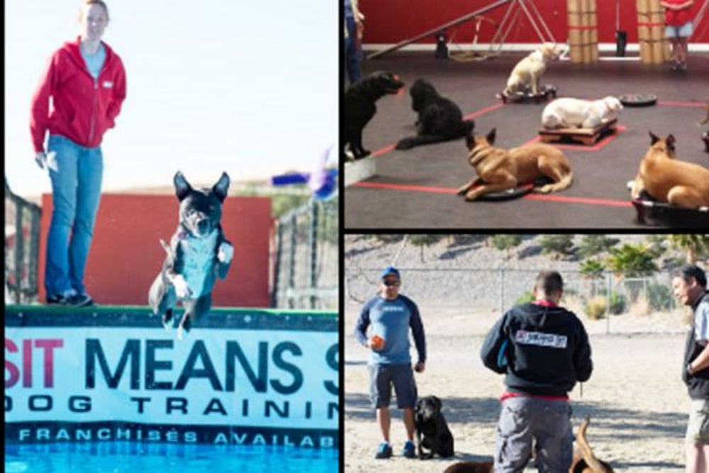 4. Sit Means Sit Dog Training