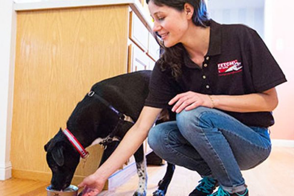 5. Fetch! Pet Care