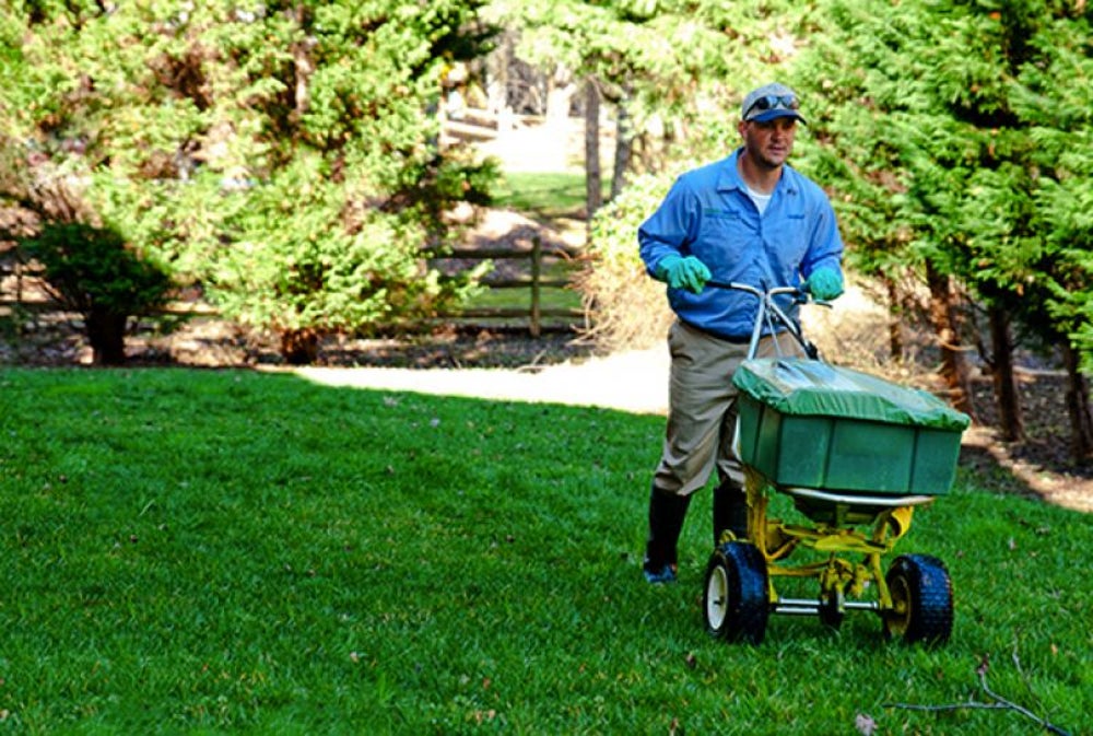 With the Help of These Franchises, You Earn the Yard of the Year Award