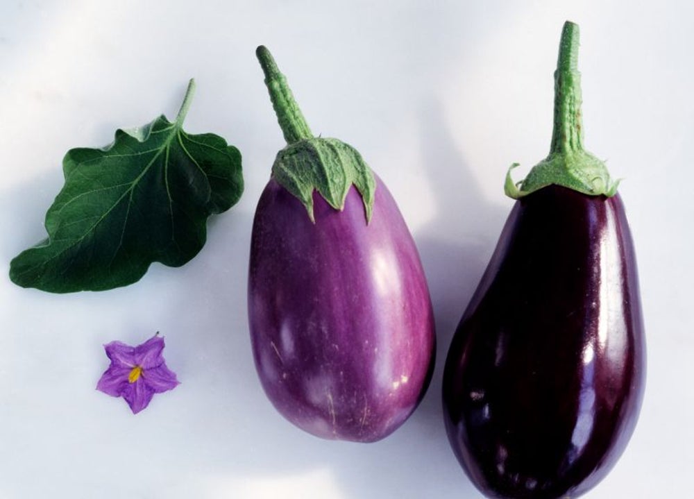 9. Eggplant
