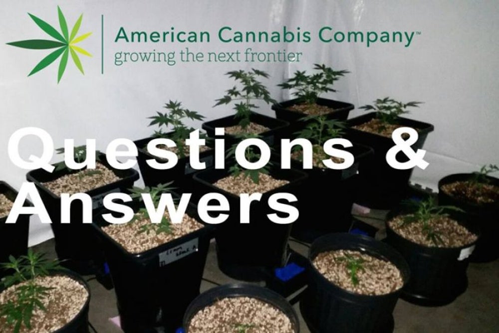 Cannabis industry consulting