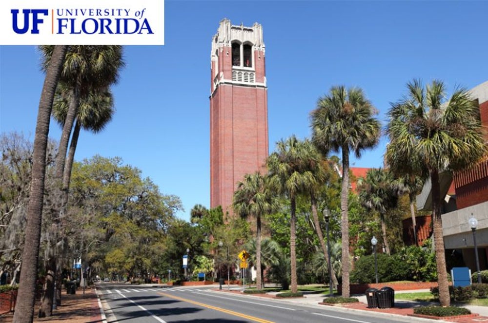 #5 University of Florida