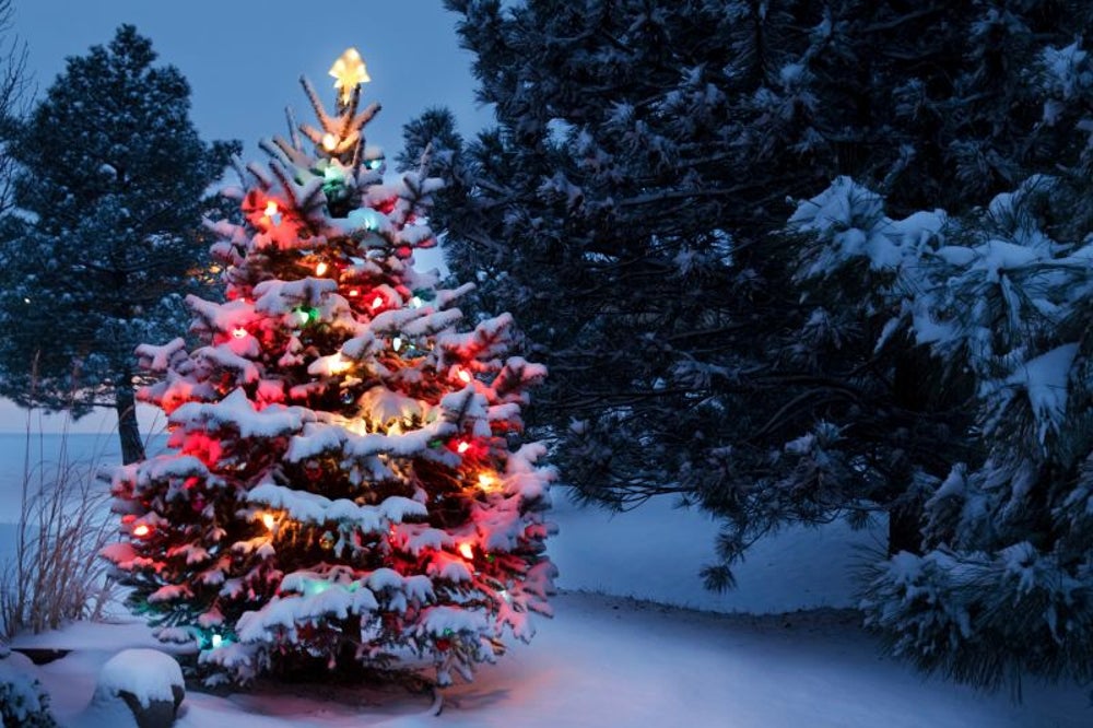 Un árbol de navidad para todo el año